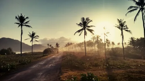 Indonesia