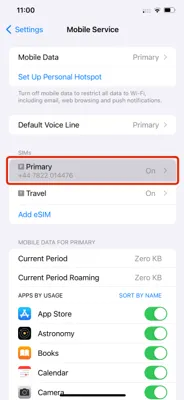 Screenshot showing the 'Mobile Service' option in iPhone Settings with the primary SIM selected.