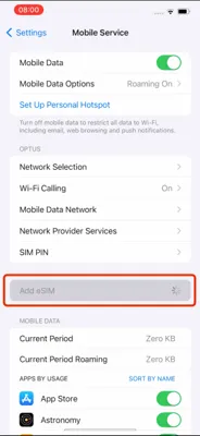 Screenshot of the 'Add eSIM' option on the iPhone's Mobile Service page.