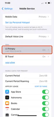 Screenshot showing the 'Mobile Service' option in iPhone Settings with the primary SIM selected.