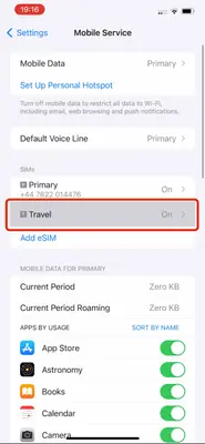 Screenshot showing the 'Mobile Service' option with the Travel e-SIM selected and Data Roaming set to on.