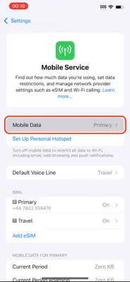 Screenshot of the 'Mobile Data' option in iPhone settings.
