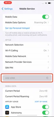 Screenshot of the 'Add eSIM' option on the iPhone's Mobile Service page.