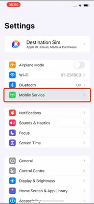 Screenshot showing the 'Mobile Service' option in iPhone Settings.