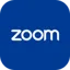 Zoom Icon