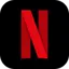 Netflix Icon