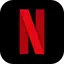 Netflix Icon
